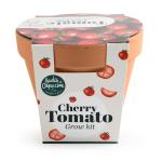 Radis et Capucine - Kit Tomate Cerise Bio - Pot en Terre Cuite - 13 cm - PACKAGING_3D_VERSO